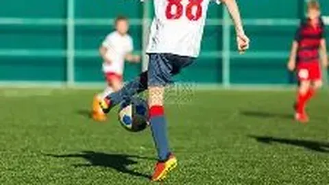 678体育 产品 105959 5z3