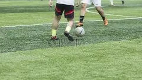 678体育 资讯 110154 pto