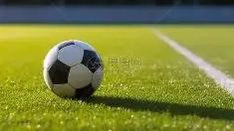 678体育 资讯 110507 fqn