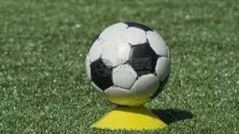 678体育 资讯 110525 n6w