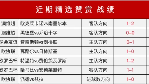多特蒙德引援失误：速度并非唯一，时机决定成败